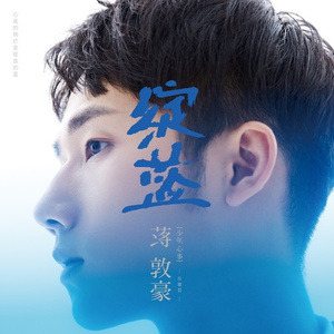 鲁大师在线观看日本影片
