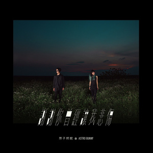 鲁大师在线观看日本影片
