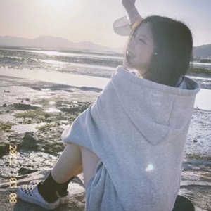 鲁大师在线观看日本影片
